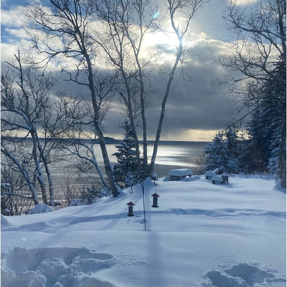 Meet your Posher, Drea Van D - Picture 2 of 2